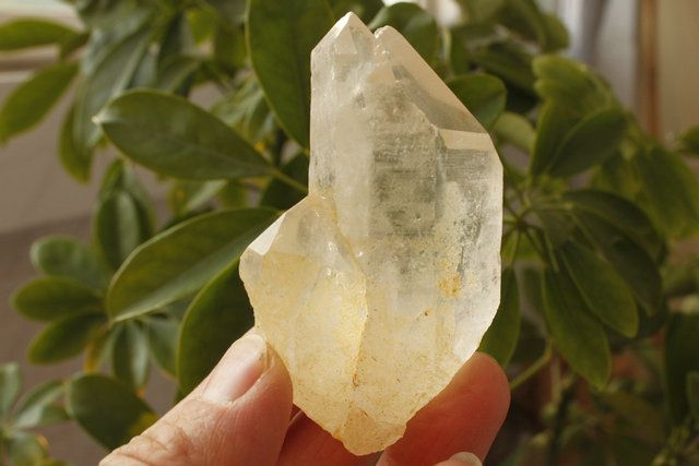 TRAORDINARY, SUPERB Elestial Angel Lemurian Quartz Cluster –Abundant 