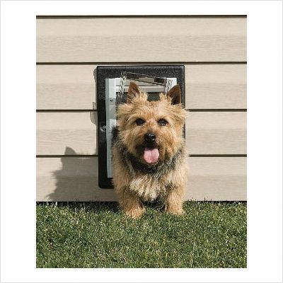 Pet Safe Wall Entry Pet Door  