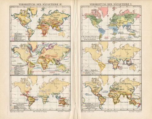 Antique Map DISPERSION OF MAMMALS WORLD MAP Meyers 1895  