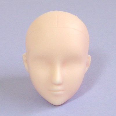 Most heads from other manufacturers of vinyl 1/6th scale dolls will 