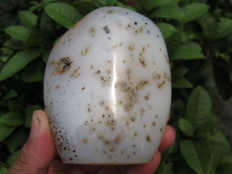 406g BEAUTIFUL NATURAL Aquatic AGATE CRYSTAL HEALING  