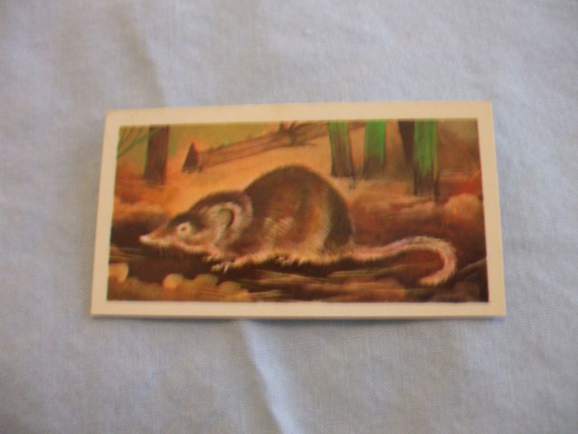 BROOKE BOND TEA CARDSPREHISTORIC ANIMALS 1972 BUY INDIVIDUALLY NOs 