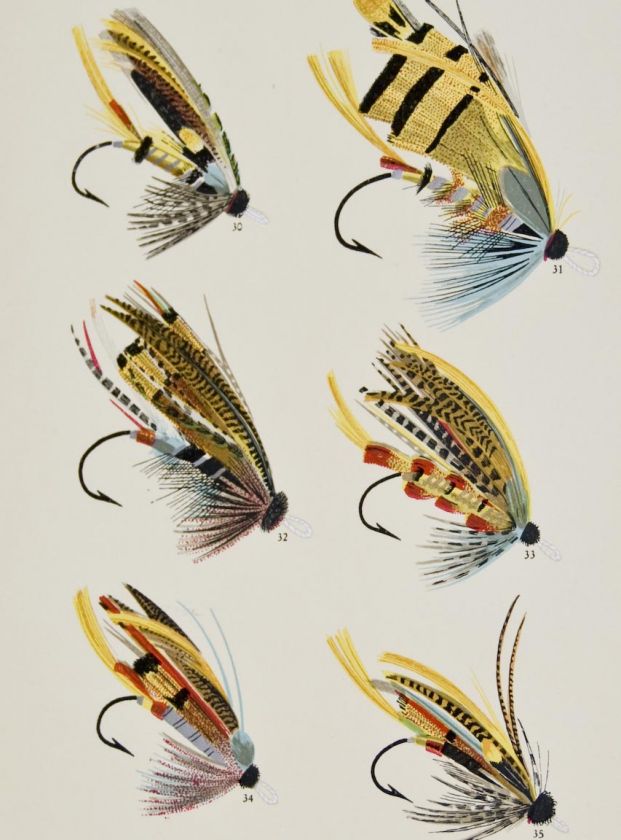 Marbury 1892 Fishing Flies Print. Salmon Flies  