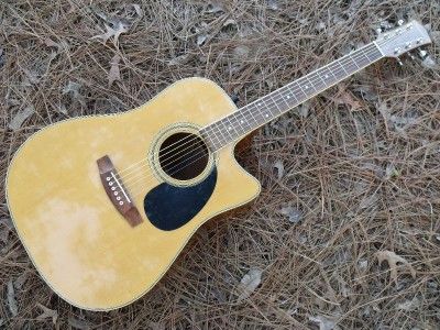 Palmer Acoustic/Electric Guitar W/Gigbag  