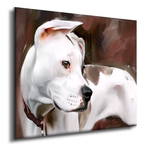 PITBULL pit bull original art painting CANVAS GICLEE PRINT  