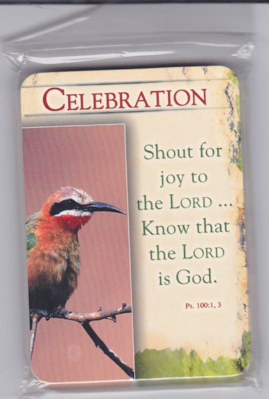 PKG 15 Prayer Cards Celebration Christian Scripture  