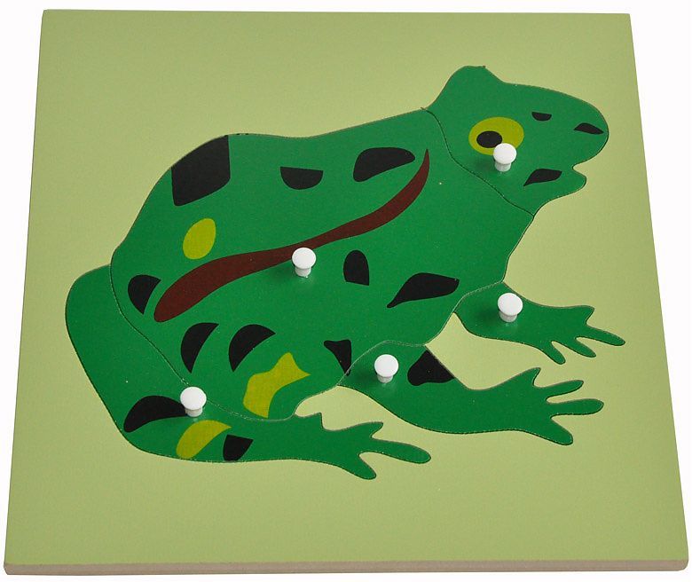 MONTESSORI FROG Educational Wood Knob Preschool PUZZLE  