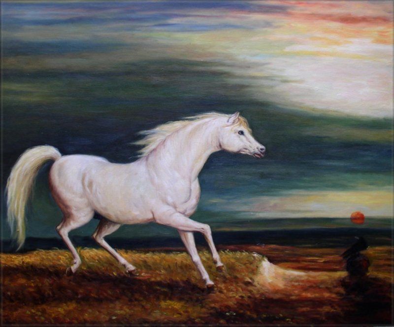   Hand Painted Oil Painting White Horse Galloping 20x24  