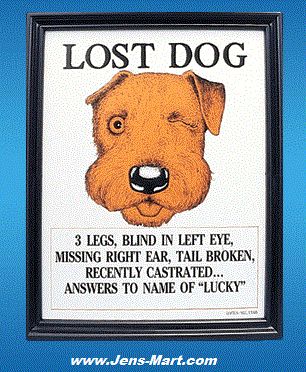 Lost Dog Lucky Plaque Adult Only Gag / Joke  