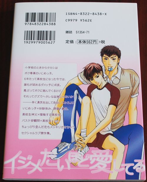 Yaoi BL Manga Itsumetai Hodo Aishiteru Shin Mizukami  