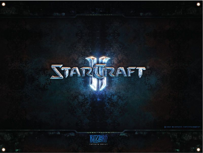 BIG 36 by 48 Starcraft 2 Banner  