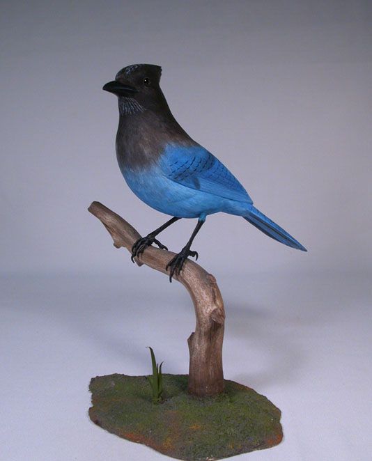 10 Stellers Jay Original Bird Wood Carving/Birdhug  