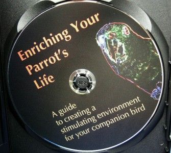 Leather Elves   DVD   Enriching your Parrots Life  