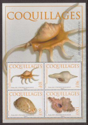 French Polynesia 2007 Shells SS VF MNH (947a)  