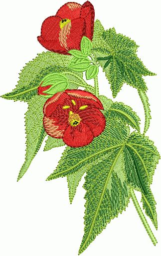 Live Garden machine embroidery designs set 5x7 hoops  