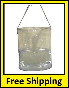 Chinook Folding Clear 2 Gallon Water Carrier Bucket  