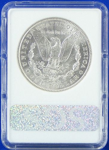   slabbed morgan silver dollar judge the coin for yourself you will