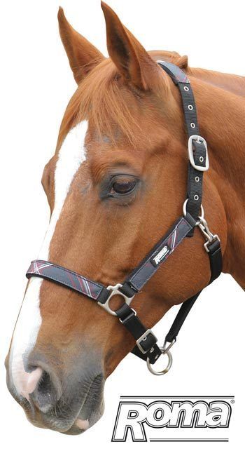 Roma Nylon Plaid Halter   Horse  